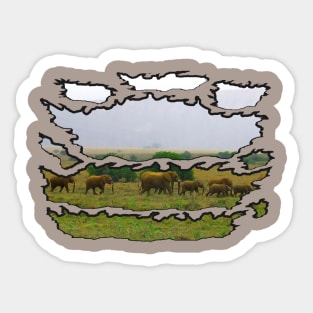 Wildlife Ripped African Elephant Mountain Sticker